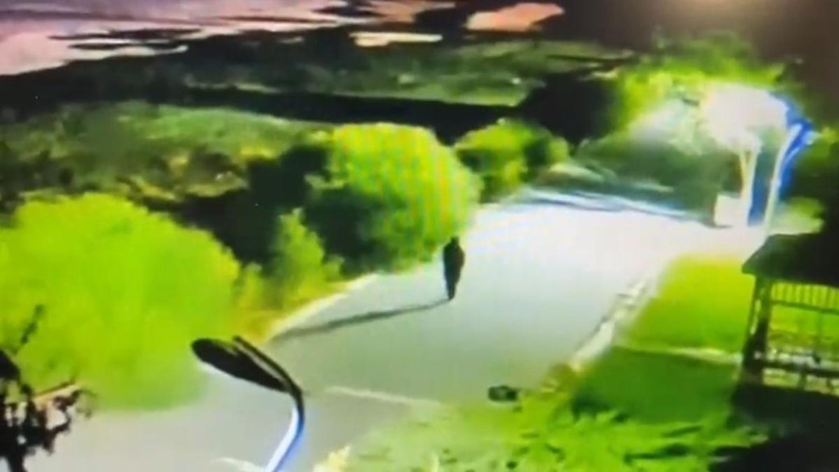 rojin van kayp fotoraflar resimleri