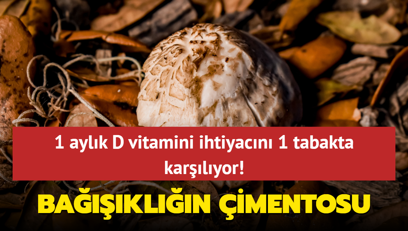 1 aylk D vitamini ihtiyacn 1 tabakta karlyor! Bakl imento gibi salamlatryor