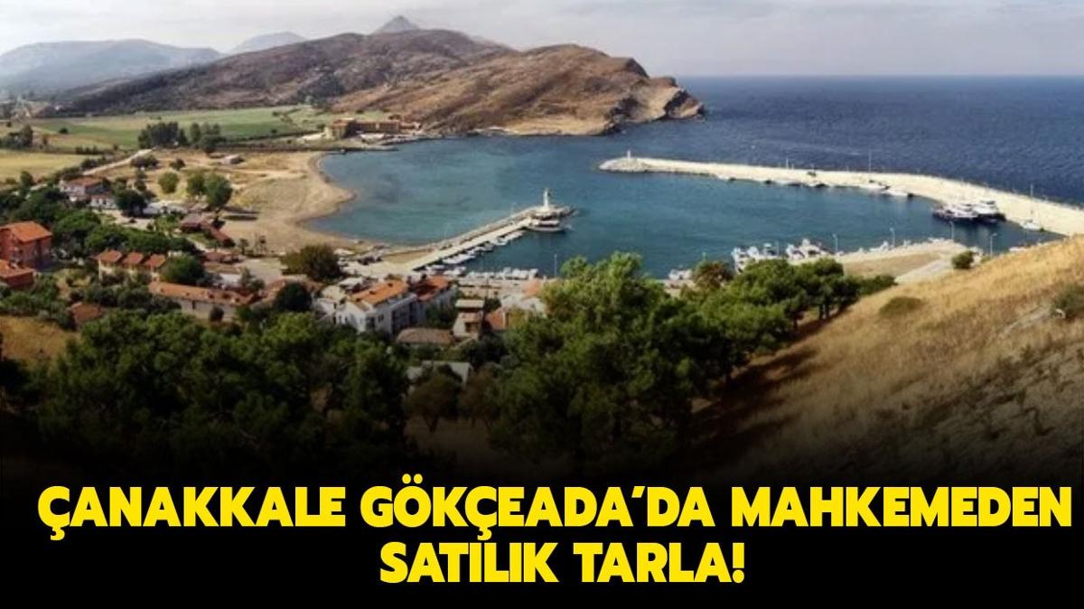 anakkale Gkeada Dereky Ky'nde mahkemeden satlk tarla!