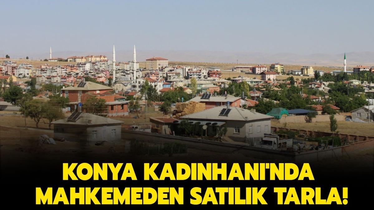 Konya Kadnhan'nda mahkemeden satlk tarla!