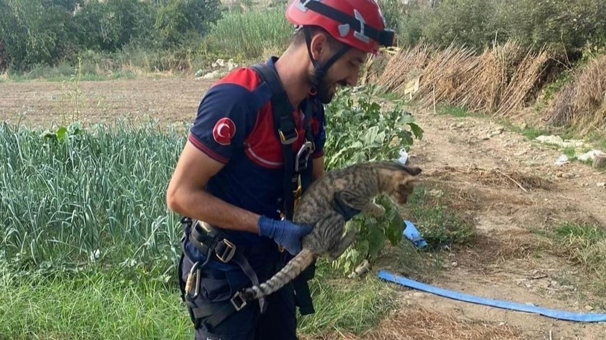 Kuyuya den kedinin yardmna itfaiye kotu