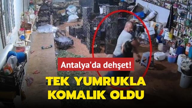 Antalya'da dehet! Tek yumrukla komalk oldu