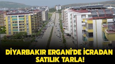 Diyarbakr Ergani'de icradan satlk tarla!