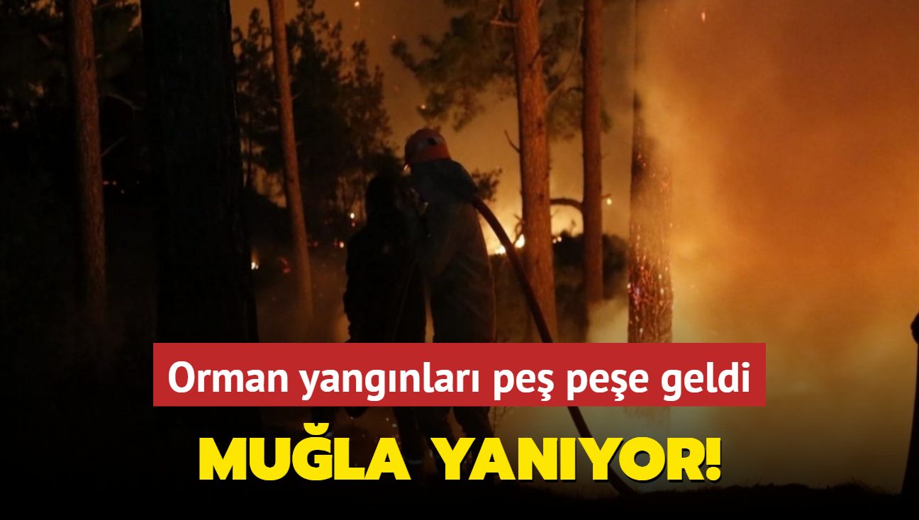 Mula yanyor! Orman yangnlar pe pee geldi