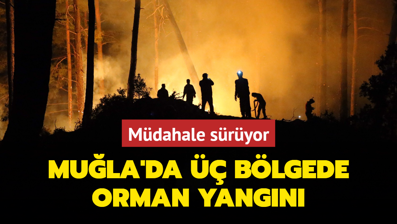 Mula'da  blgede orman yangn: Mdahale sryor