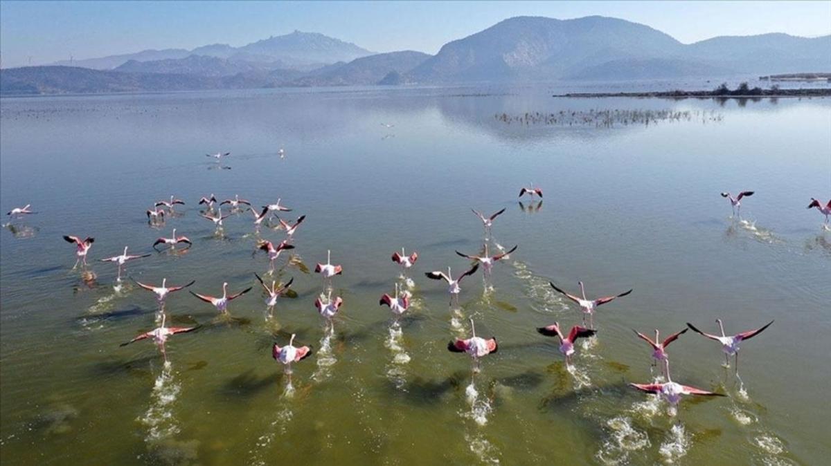 Meclis, vatandalarn dilekeleri zerine Bafa Gl'ne gidecek