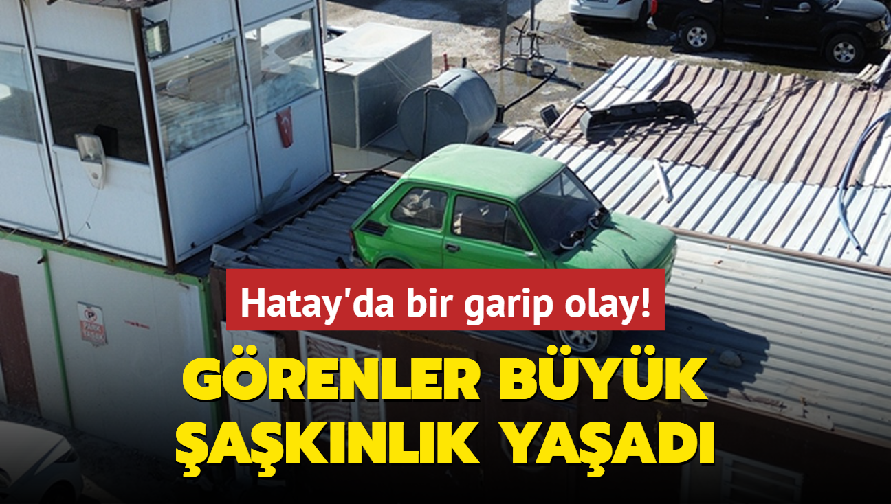 Hatay'da bir garip olay! Grenler byk aknlk yaad...