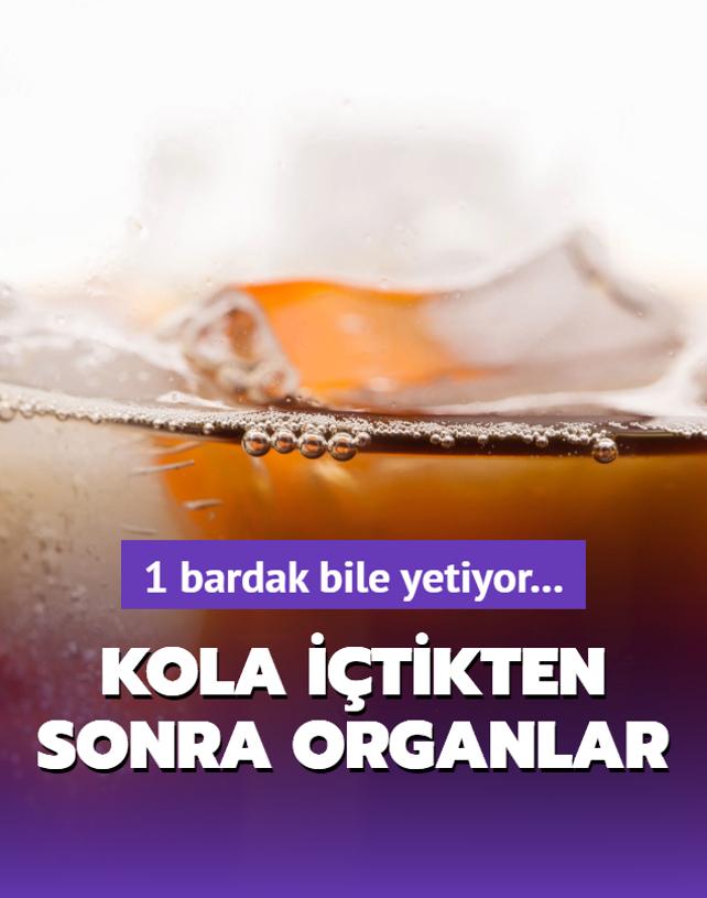 Sadece 1 bardak kola itikten sonra vcutta neler olur?