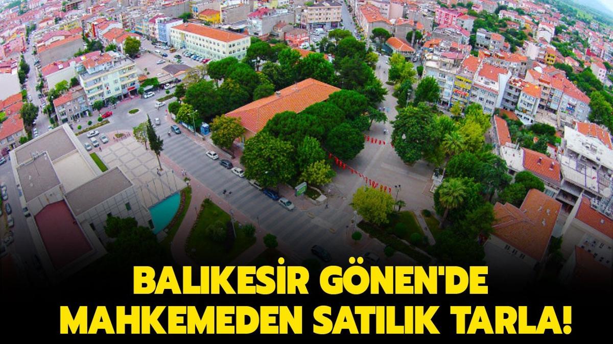 Balkesir Gnen'de mahkemeden satlk tarla!