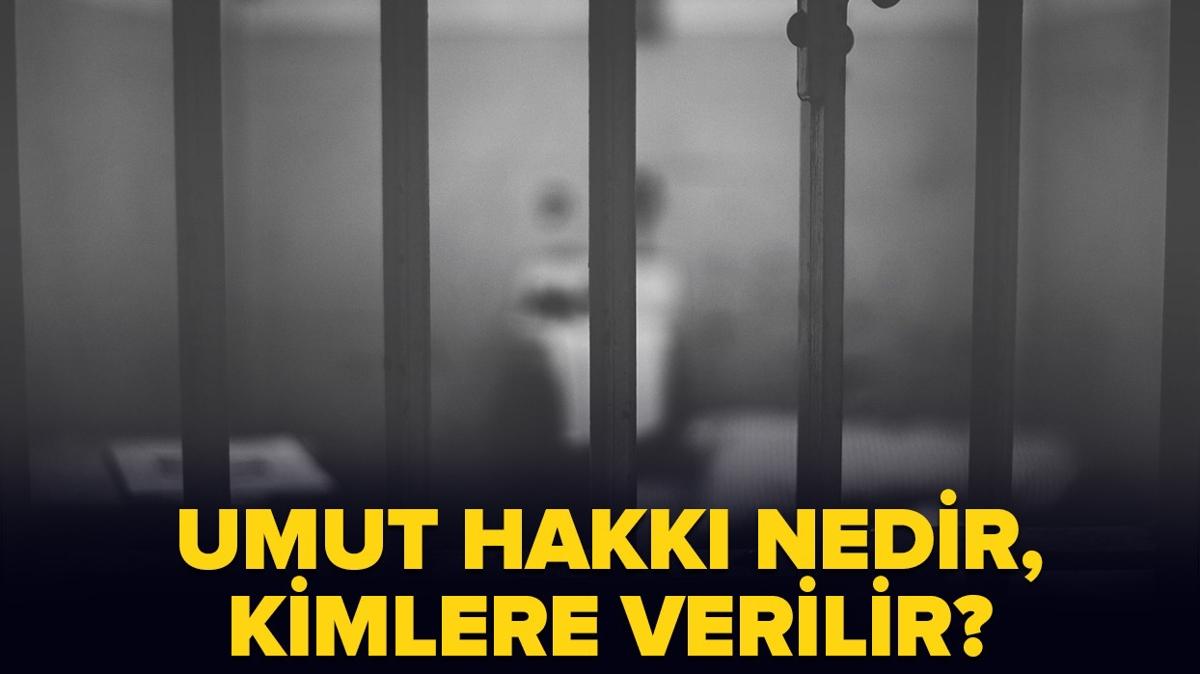 Umut hakk nedir" Umut hakkndan kimler nasl faydalanr"