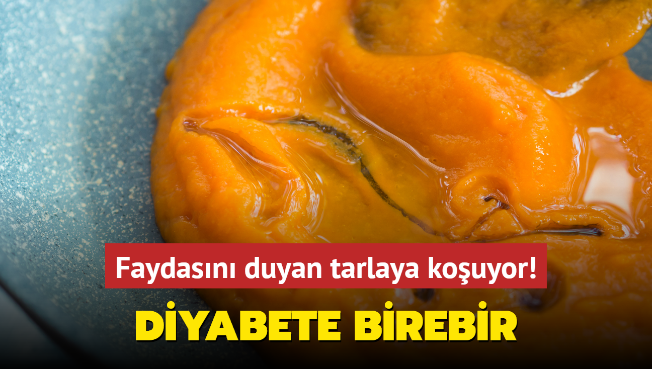 Faydasn duyan tarlaya kouyor! Dk kalori yksek vitamin! Diyabete birebir