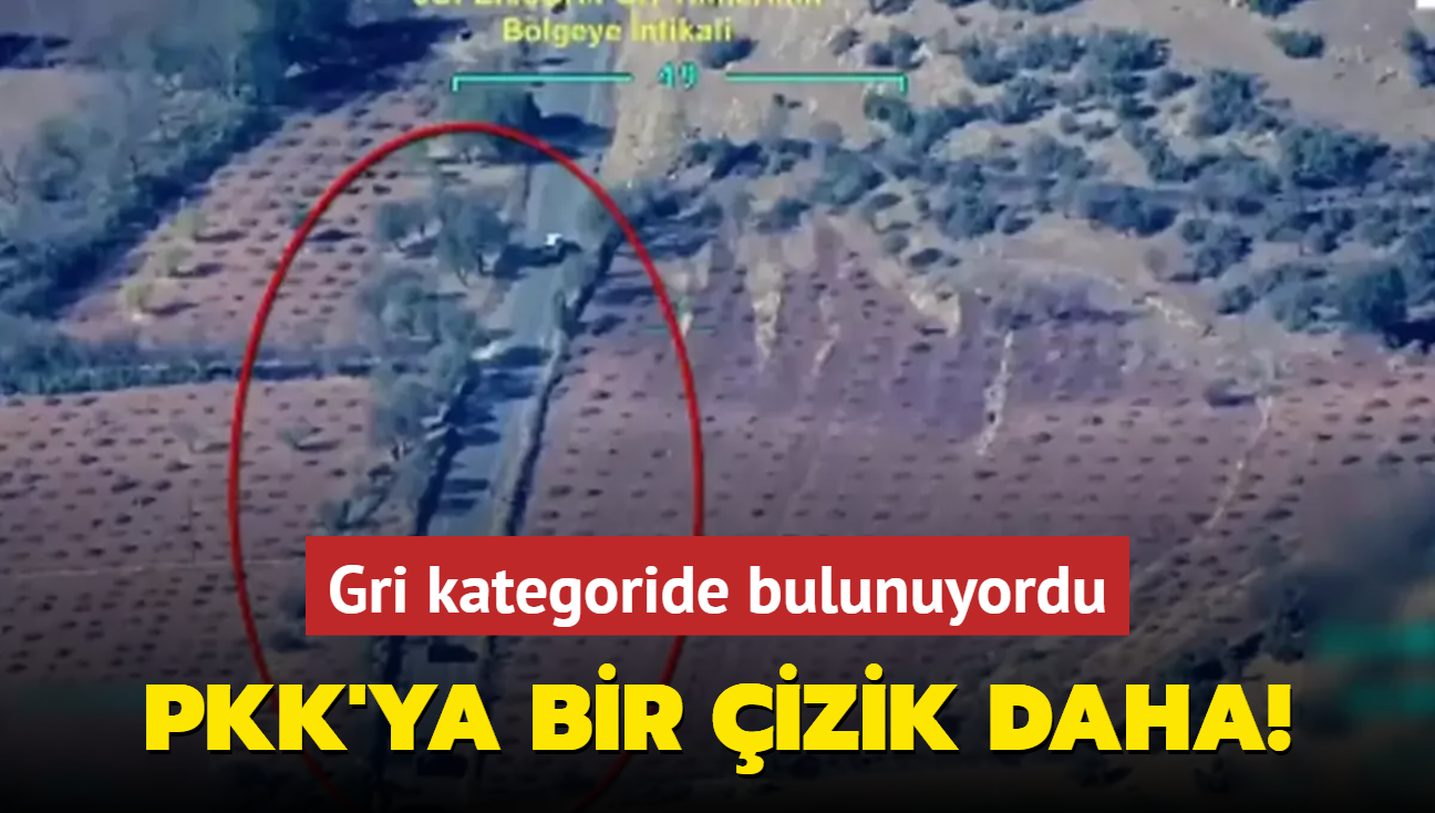 Gri kategorideki PKK'l terrist etkisiz hale getirildi