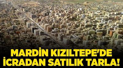 Mardin Kzltepe'de 124.981,51 metrekare icradan satlk tarla!