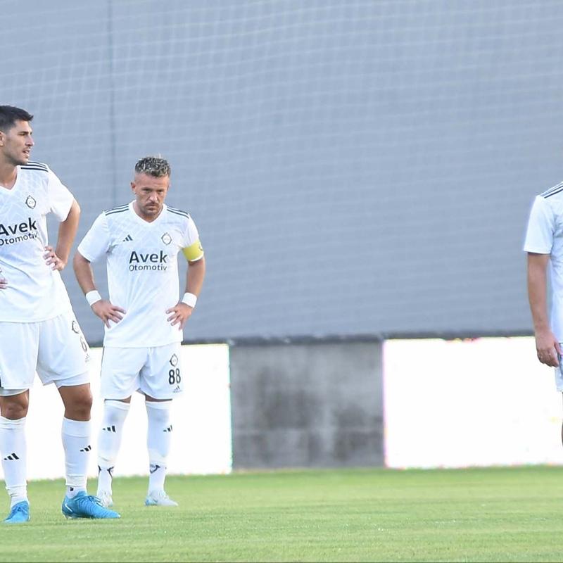 Altay dibe demir att