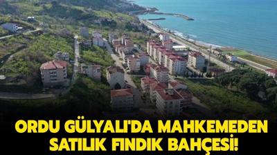 Ordu Glyal'da mahkemeden satlk fndk bahesi!