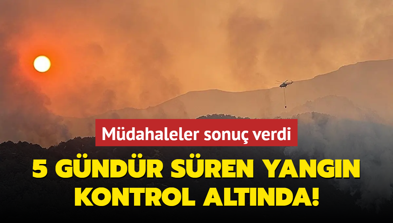 Denizli'de orman yangn kontrol altna alnd