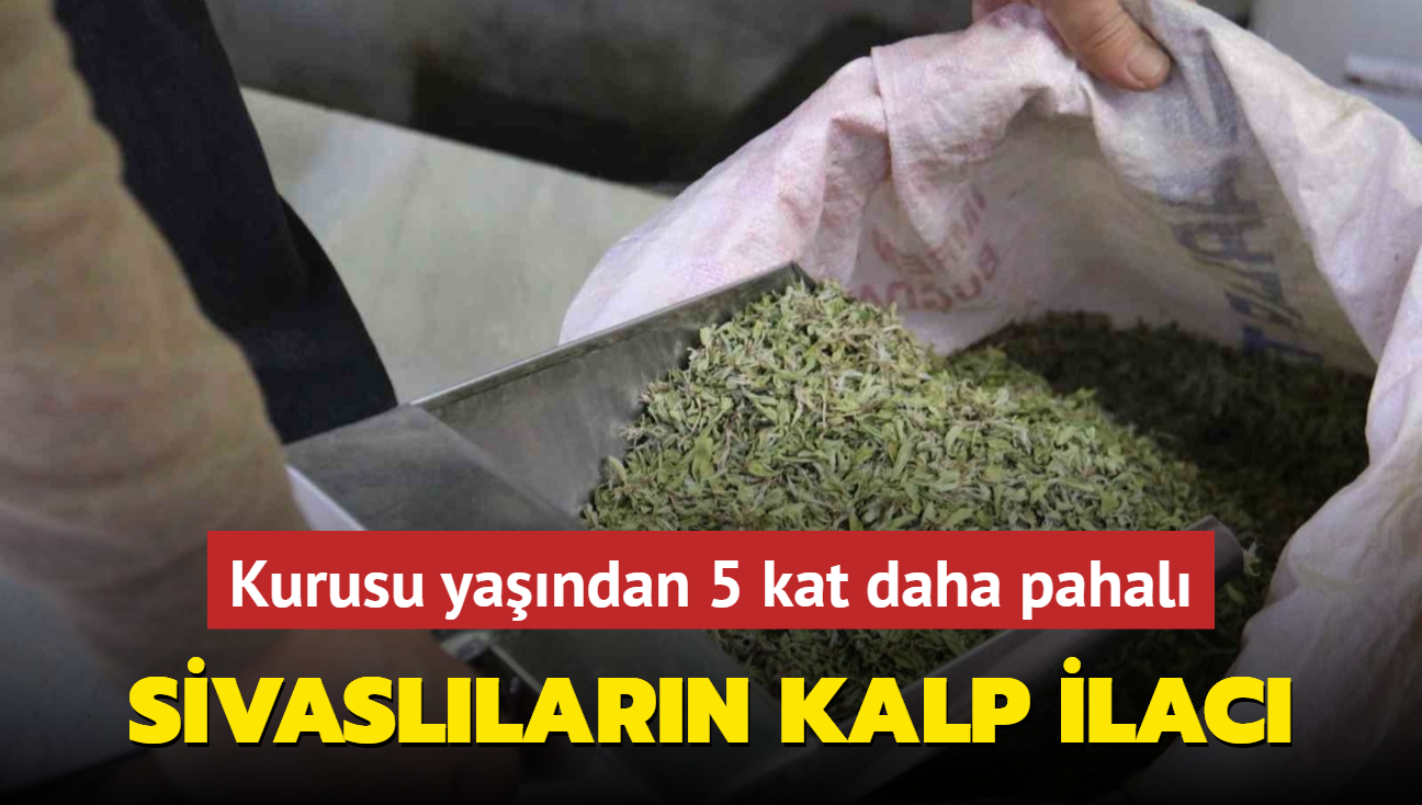 Sivasllarn kalp ilac! Kurusu yandan 5 kat daha pahal