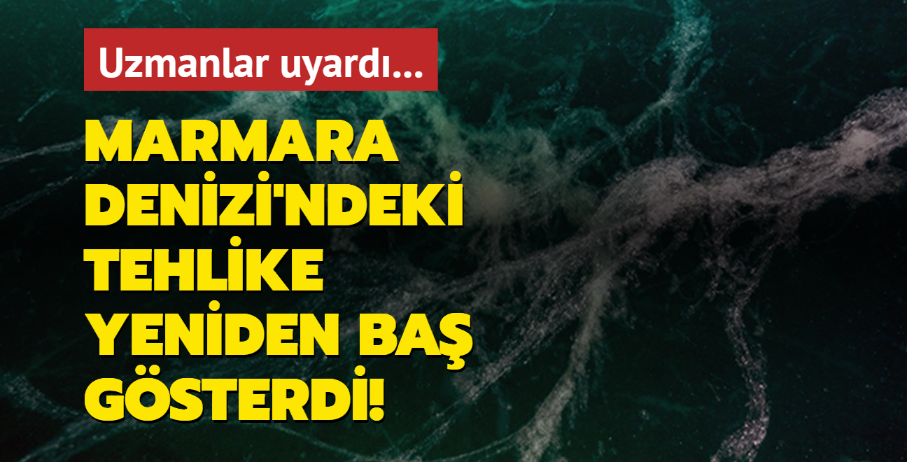 Uzmanlar uyard... Marmara Denizi'ndeki tehlike yeniden ba gsterdi!