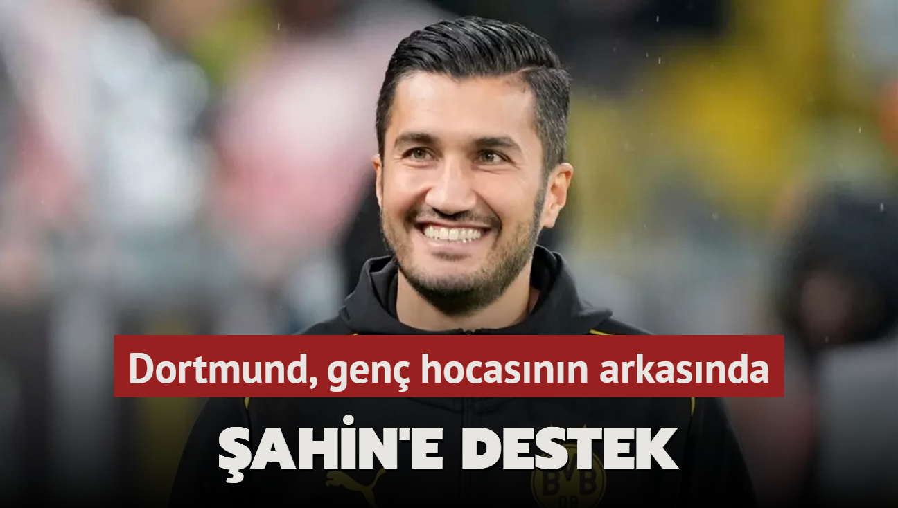 ahin'e destek