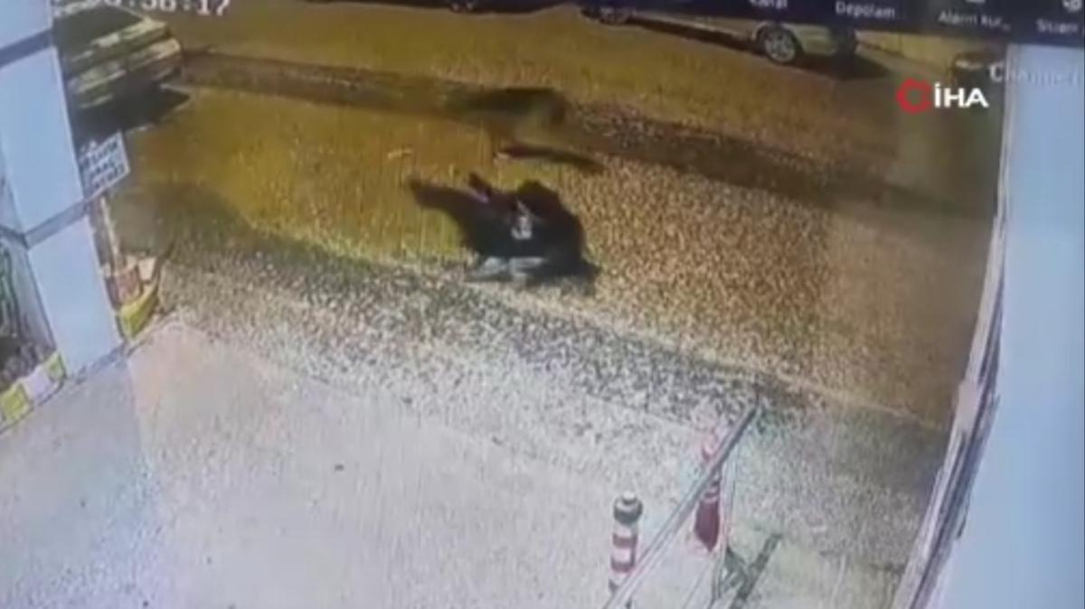 Sancaktepe'de beki kpei deheti... O anlar gvenlik kamerasnda!