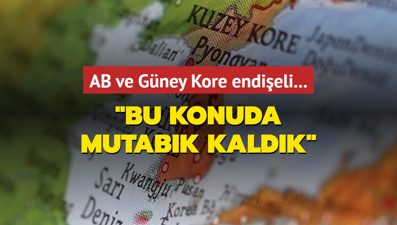 AB ve Gney Kore endieli: Bu konuda mutabk kaldk