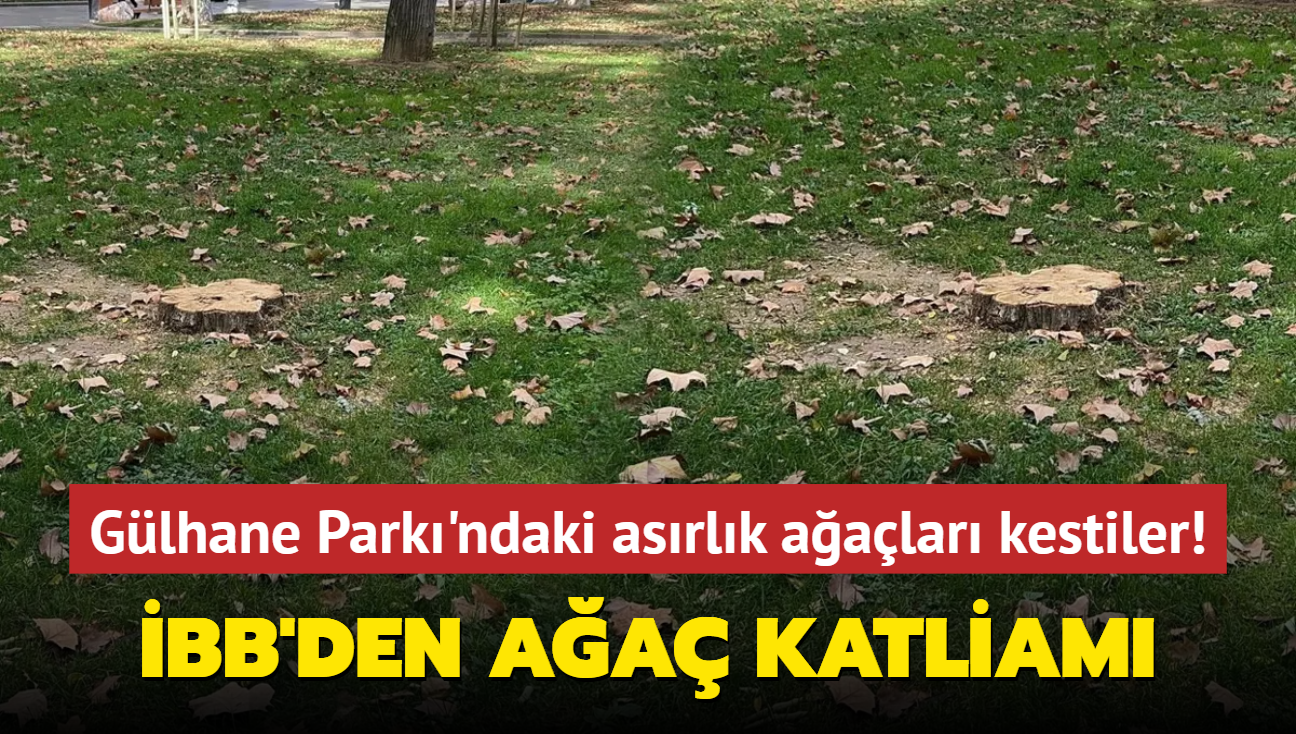 BB'den aa katliam... Glhane Park'ndaki asrlk aalar kestiler!