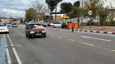 'Binnaz' otomobilin zerinde seyahat ediyor