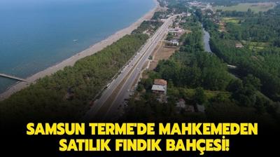 Samsun Terme'de mahkemeden satlk fndk bahesi!