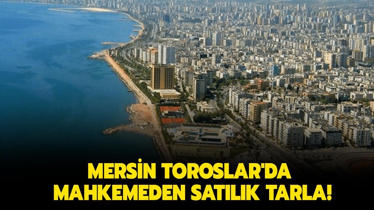 Mersin Toroslar'da mahkemeden satlk tarla!