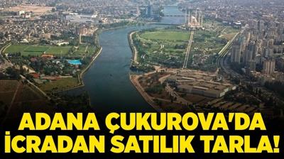 Adana ukurova'da icradan satlk tarla!