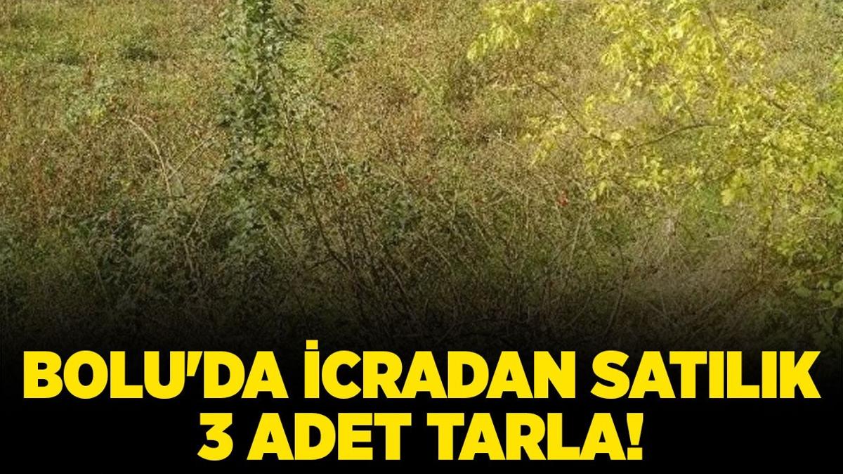 Bolu'da icradan satlk 3 adet tarla!