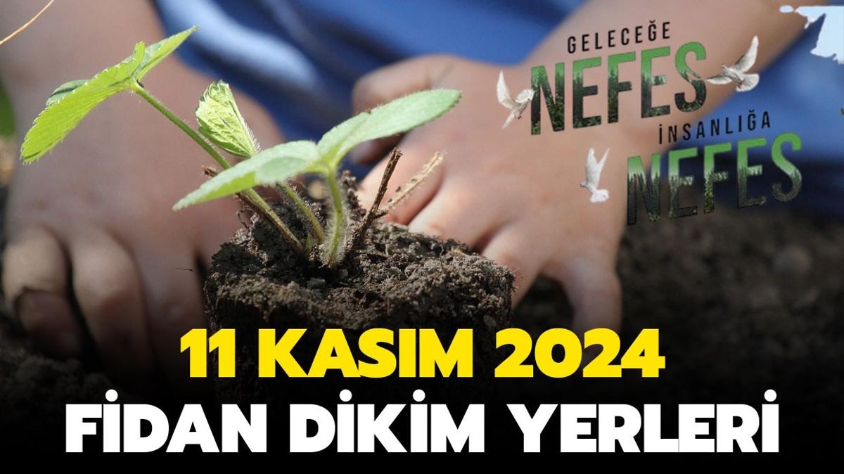 Gelecee Nefes fidan dikim yerleri 2024! 11 Kasm fidan dikim lokasyonlar listesi