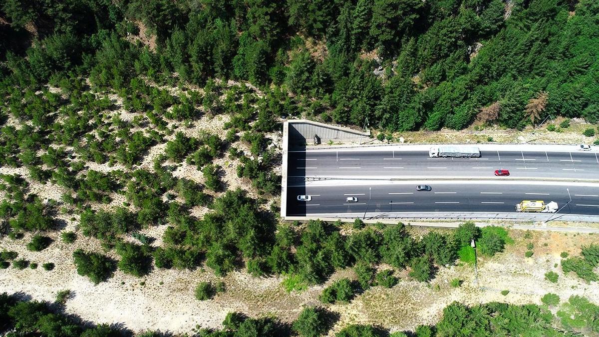 Ulatrma Bakanl 96,7 milyon fidan toprakla buluturdu