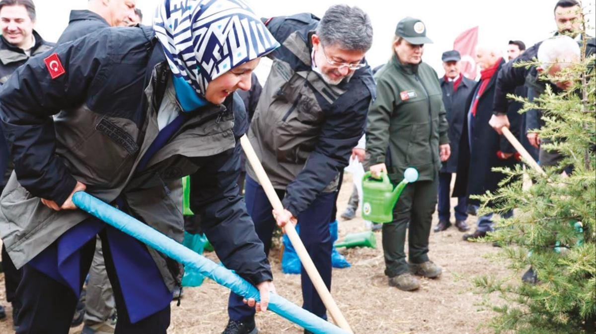 22 ylda 7 milyar fidan dikildi... Milli aa seferberlii