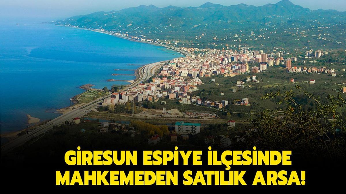 Giresun Espiye ilesinde mahkemeden satlk arsa!