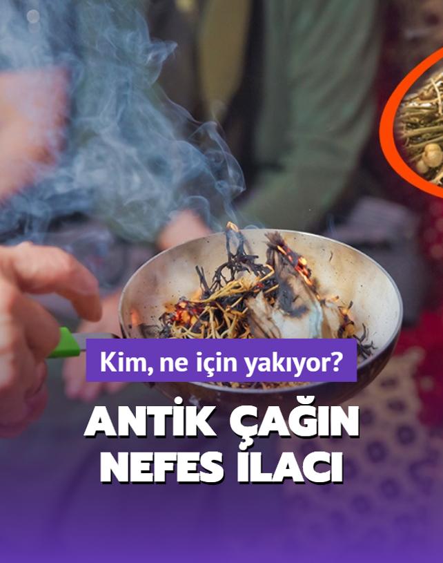 zerlik bitkisini kim, ne iin yakyor? Antik an nefes ilac