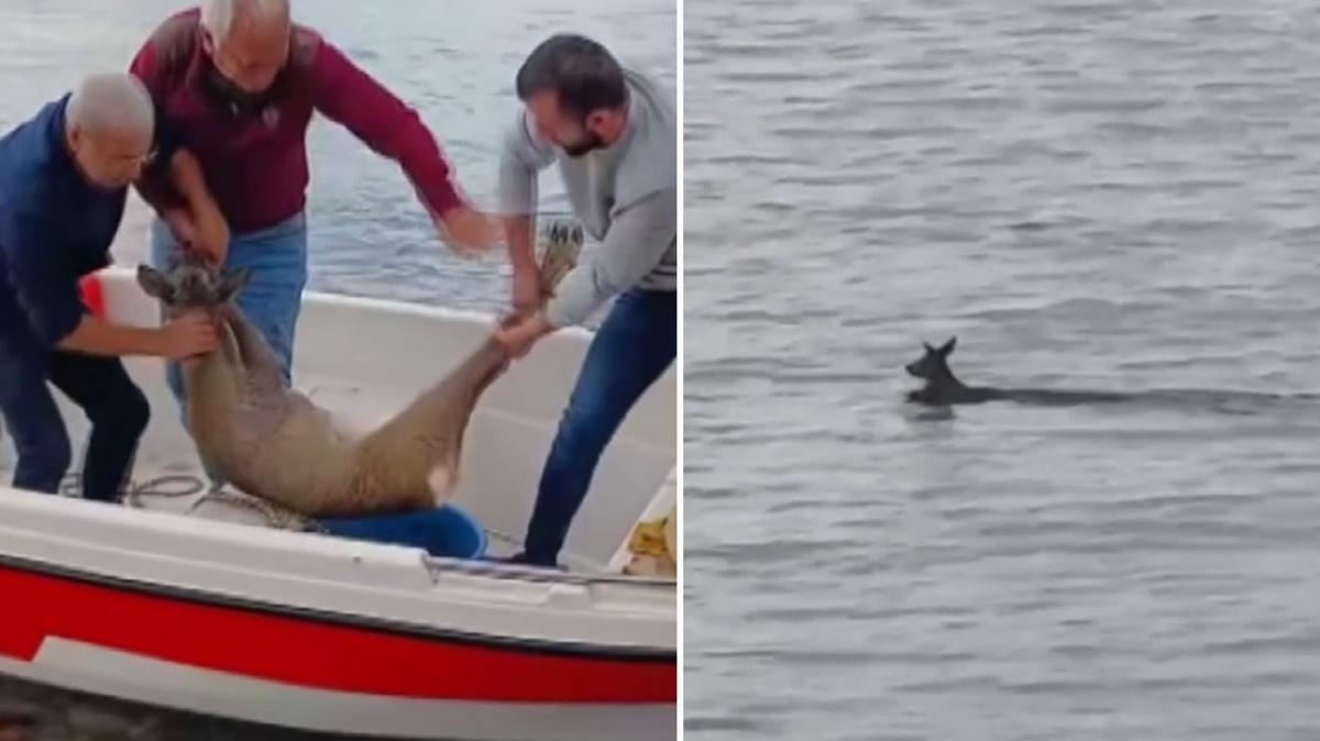 Karacay byle kurtardlar... "Denizden palamut yerine tuttuk"