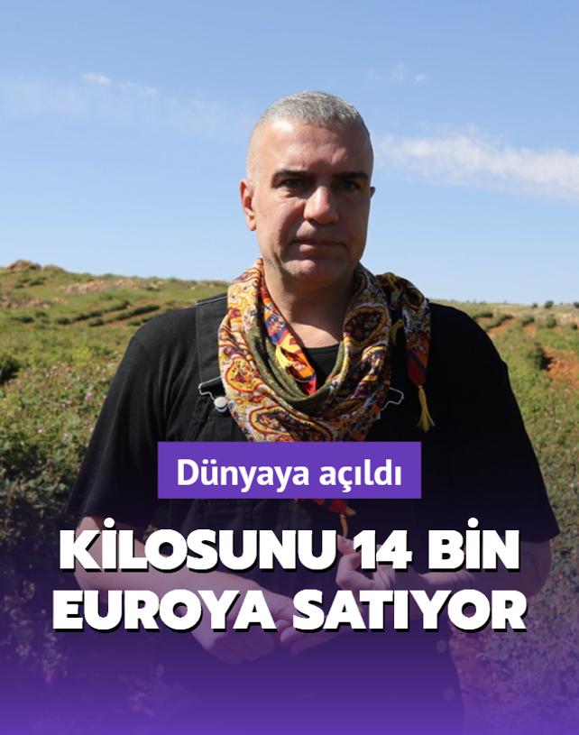 Kilosunu 14 bin Euroya satyor