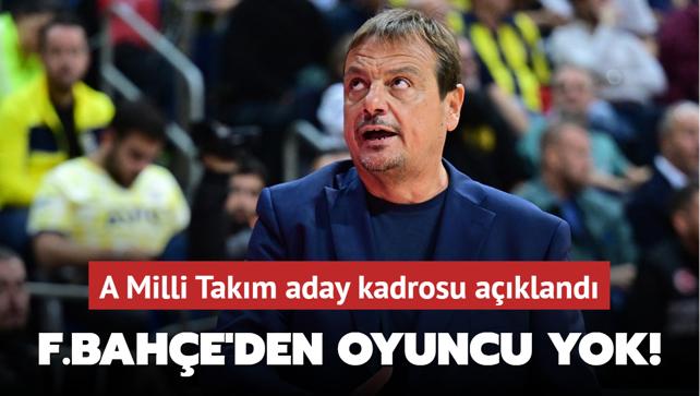 A Milli Takm kadrosu akland! Fenerbahe'den oyuncu yok