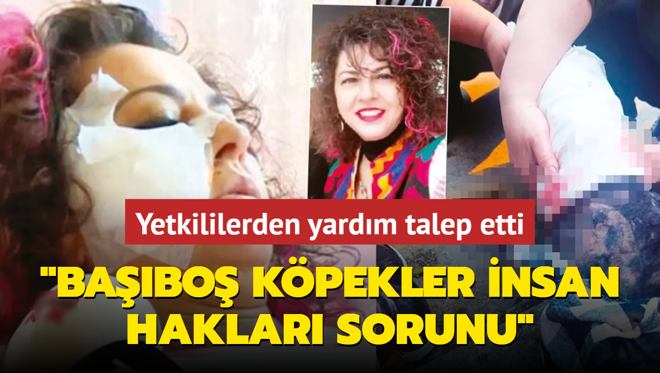 Akademisyen yetkililerden yardm talep etti! "Babo kpekler insan haklar sorunu"