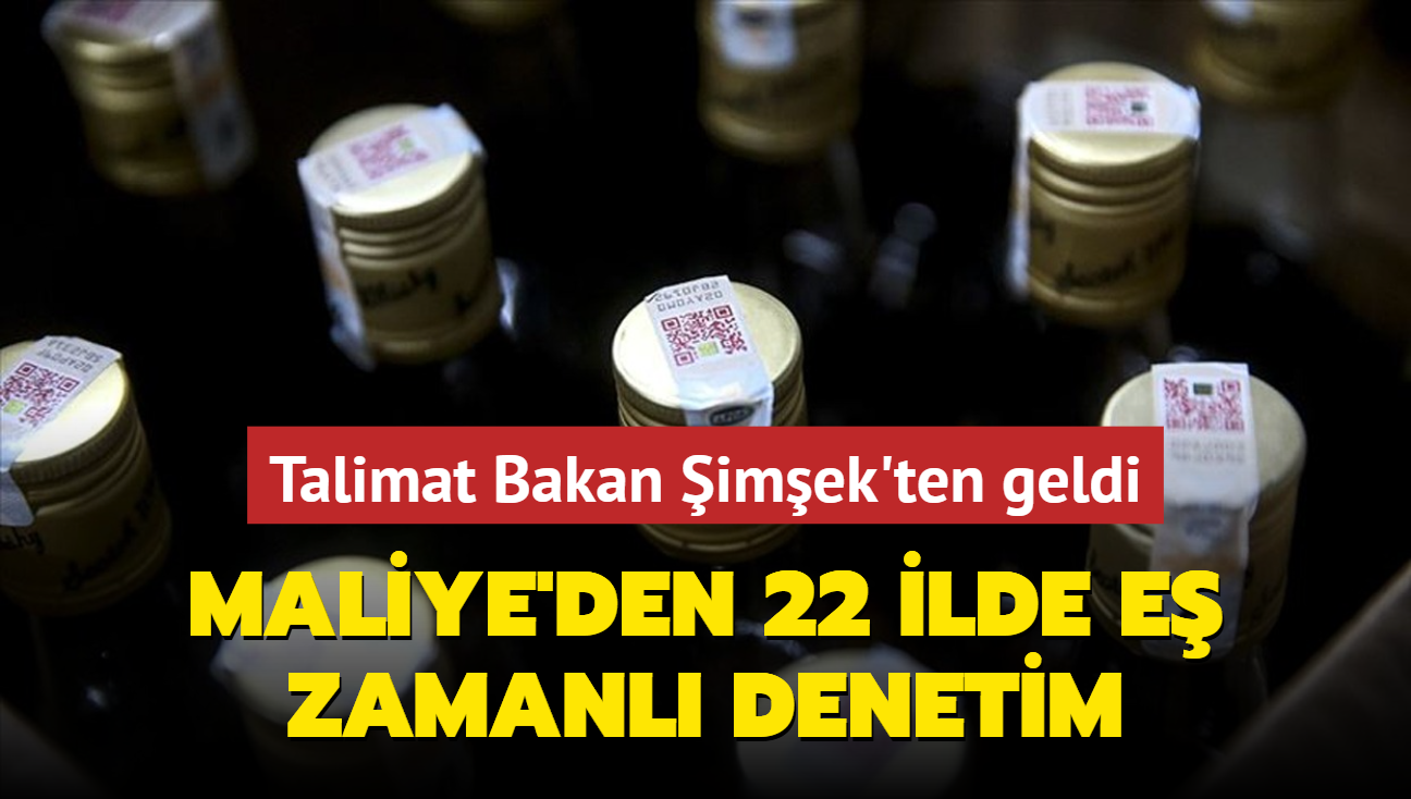 Maliye'den 22 ilde e zamanl denetim! Talimat Bakan imek'ten geldi