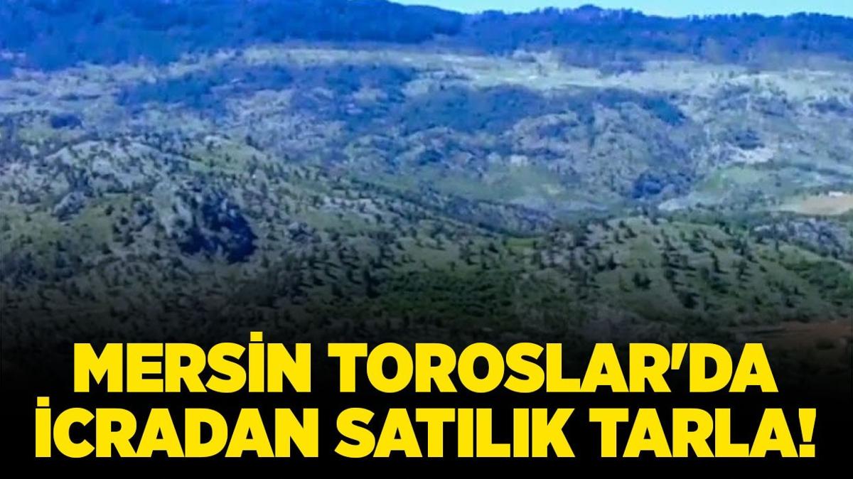 Mersin Toroslar'da icradan satlk tarla!