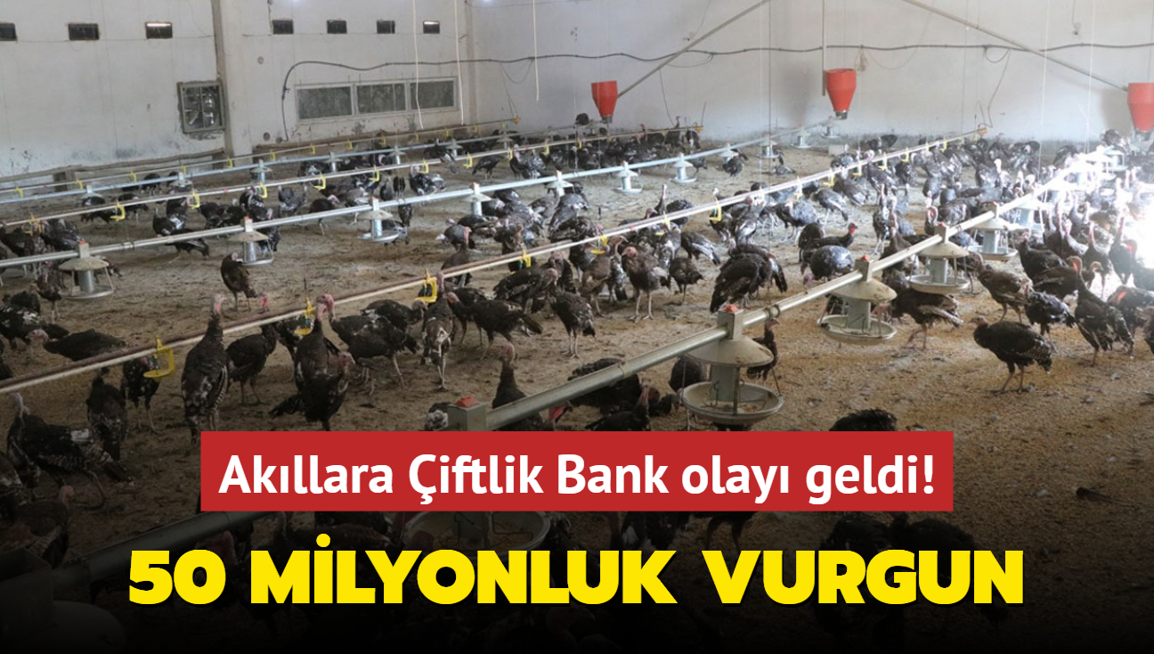 50 milyonluk vurgun... Akllara iftlik Bank olay geldi!