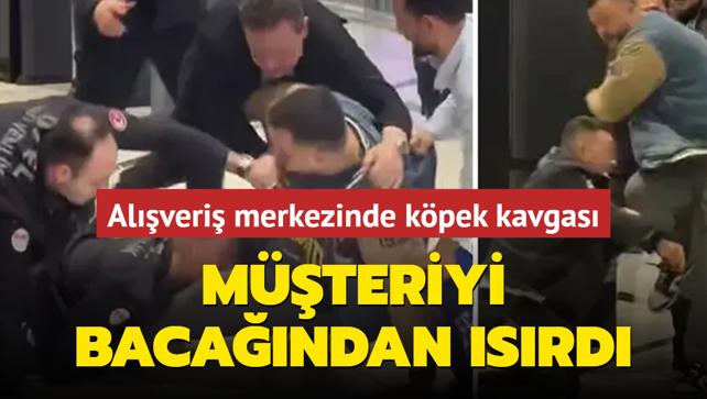 Alveri merkezinde kpek kavgas: Mteriyi bacandan srd