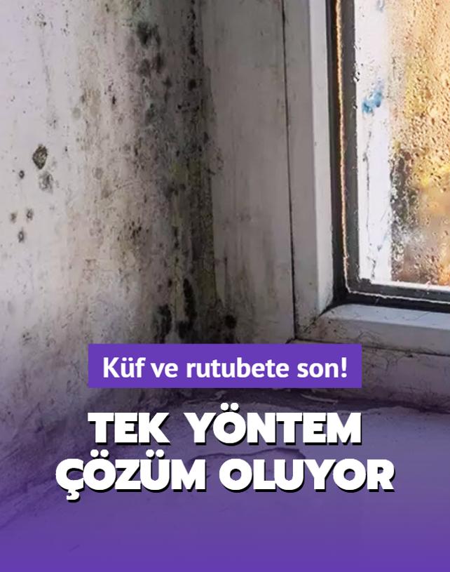 Kf ve rutubet ortadan kalkyor: Tek yntem zm oluyor! Oysa bu kadar basitmi