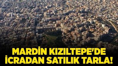 Mardin Kzltepe'de 131.500 metrekare icradan satlk tarla!