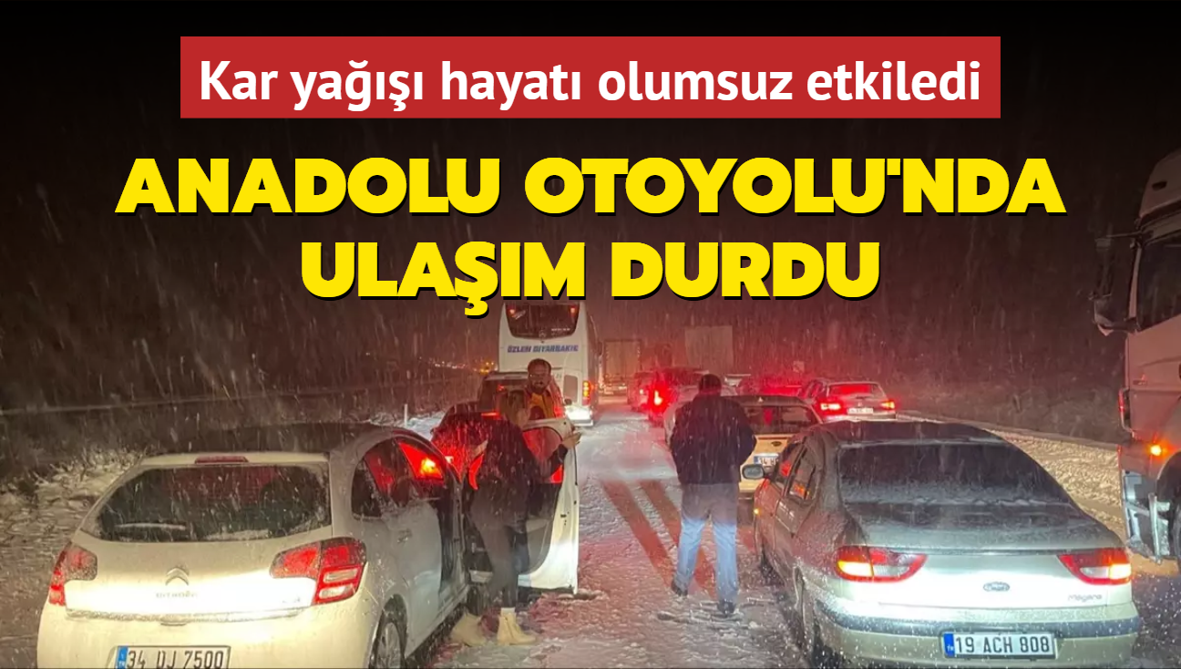 Anadolu Otoyolu'nda ulam durdu... Kar ya hayat olumsuz etkiledi