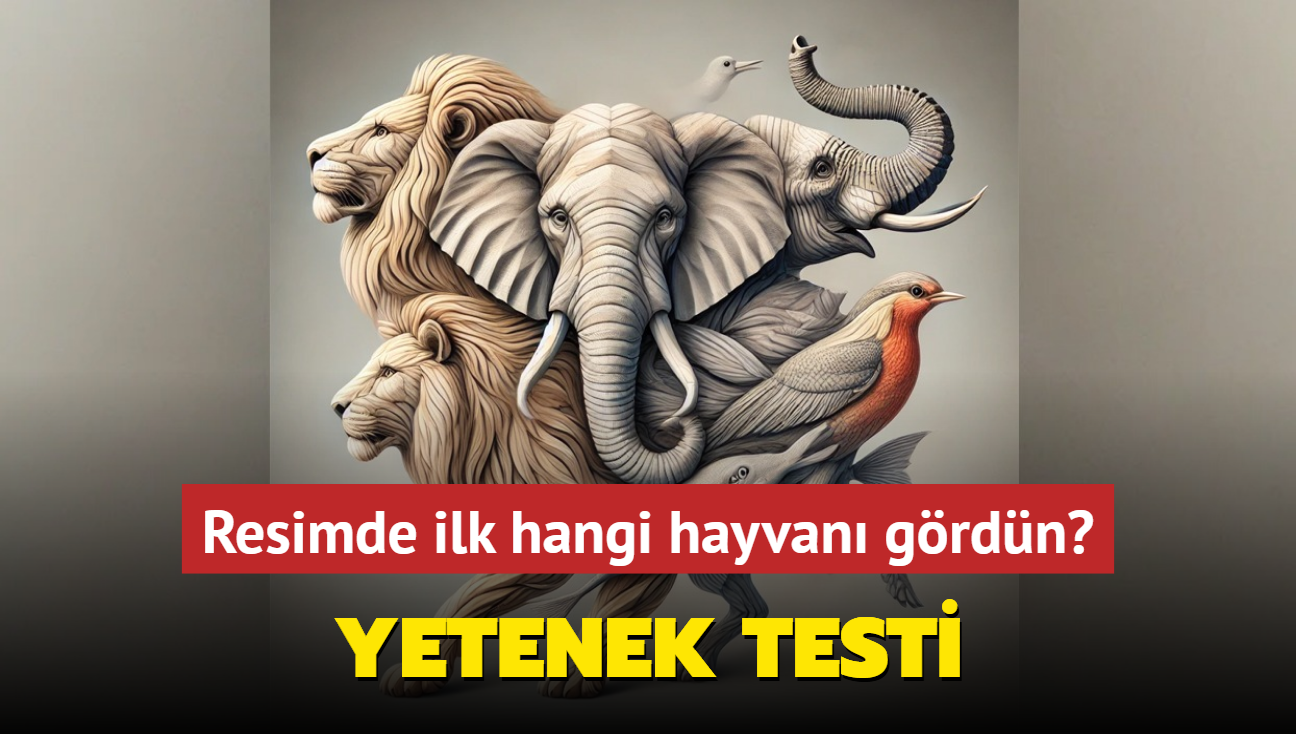 Yetenek testi! Resimde ilk hangi hayvan grdn" Aslan grenlerin meslei