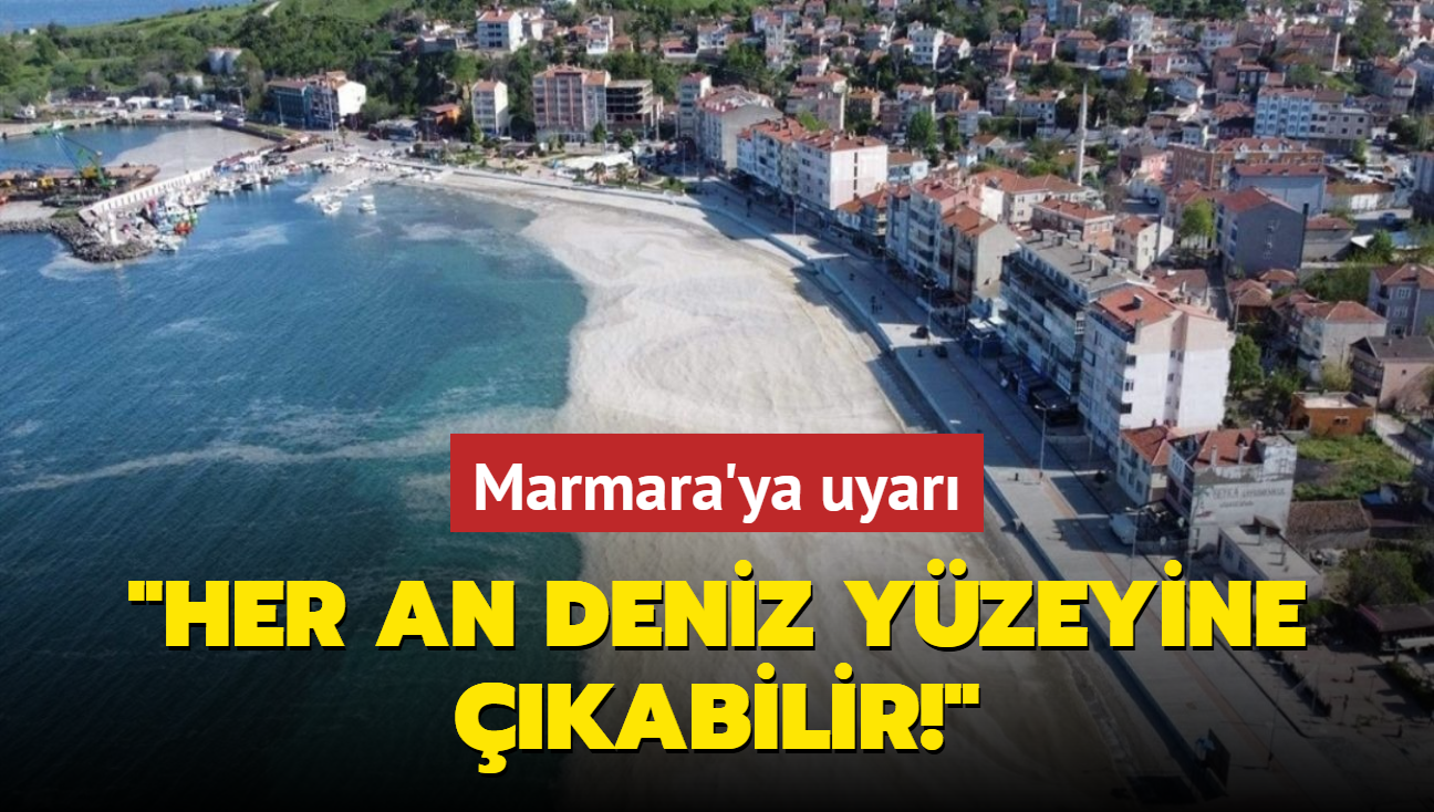 Prof. Dr. Tecer'den Marmara'ya msilaj uyars! "Her an kabilir"