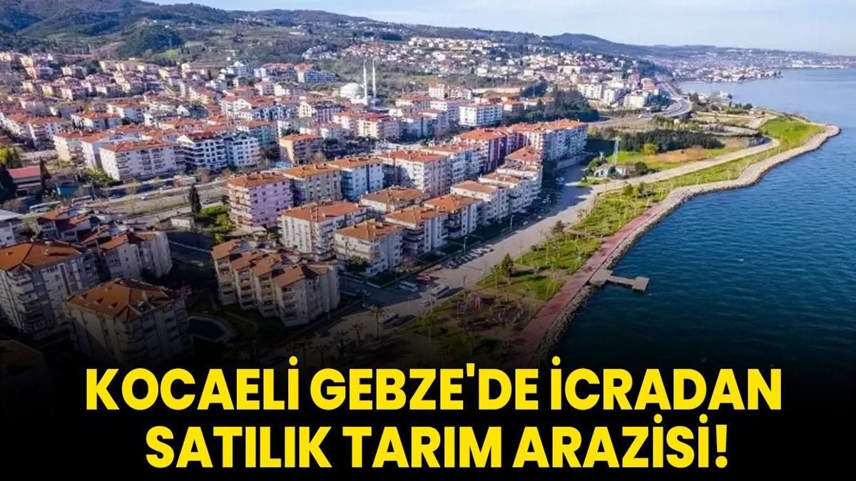 Kocaeli Gebze'de icradan satlk tarm arazisi!